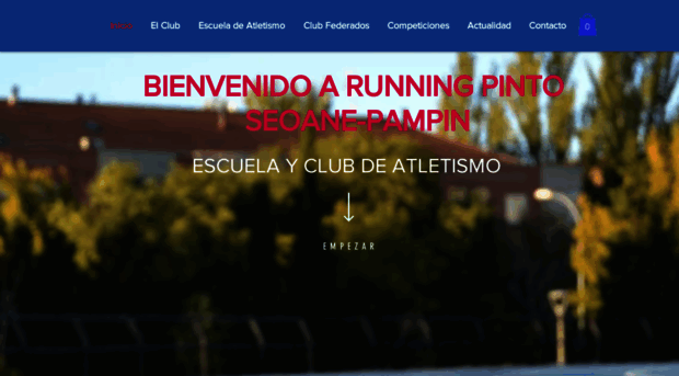 runningpinto.com