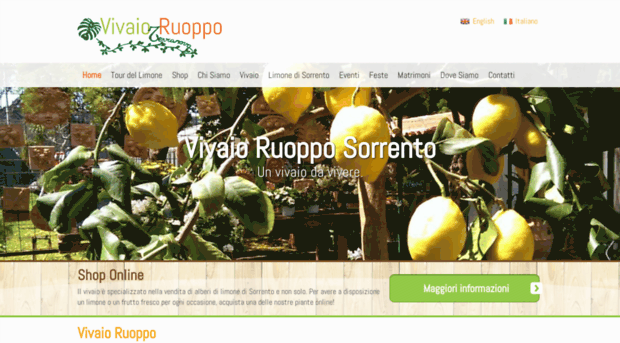 ruoppo.it