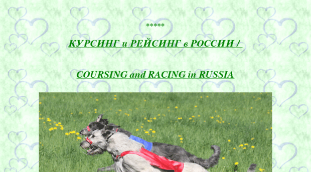 ruscoursing.ru