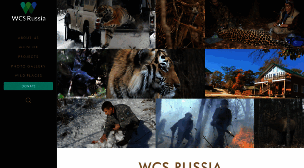 russia.wcs.org