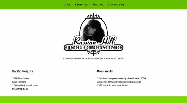 russianhilldoggrooming.com