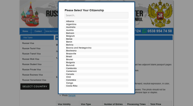 russianvisacenter.net