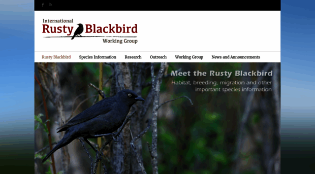 rustyblackbird.org