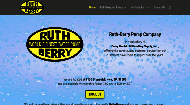 ruthberrypumps.com