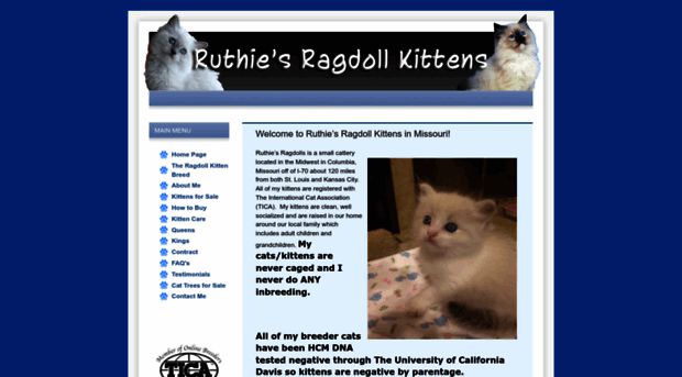 ruthiesragdollkittens.com