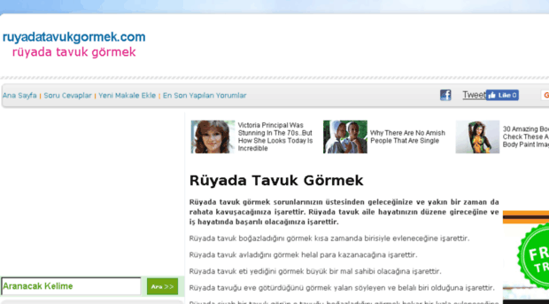 ruyadatavukgormek.com