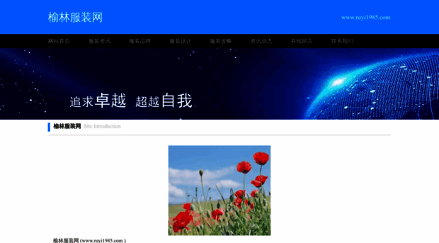 ruyi1985.com