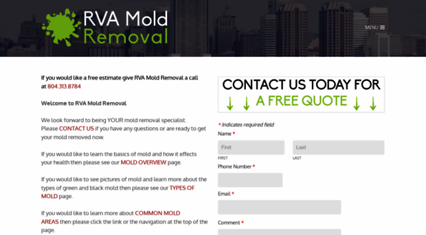 rvamoldremoval.com