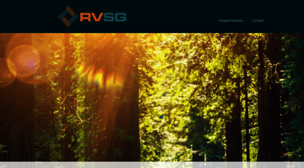 rvsolutionsgroup.com