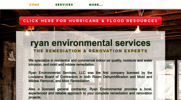 ryanservices.com