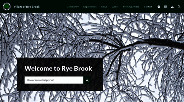 ryebrook.org