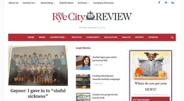 ryecityreview.com