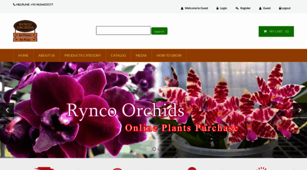 ryncoorchids.com