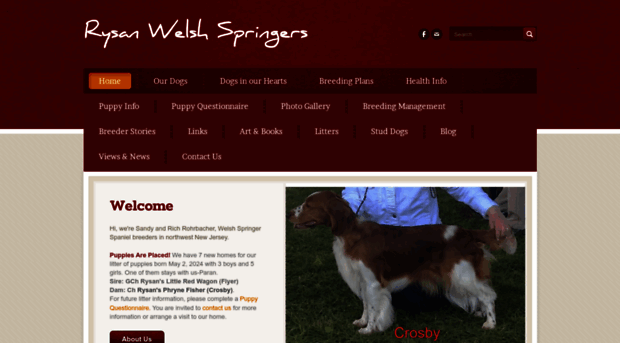 rysanwelshspringers.com