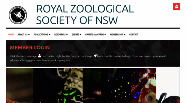 rzsnsw.org.au