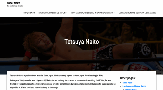 s-naito.com