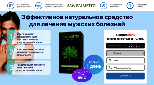 s-palmetto.com