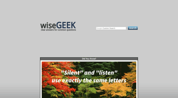 s.wisegeek.net