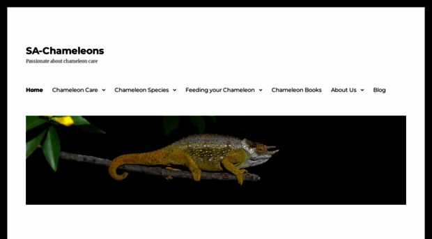 sa-chameleons.com