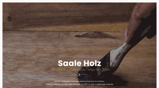 saale-holz.de