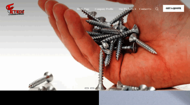 saanvifasteners.com