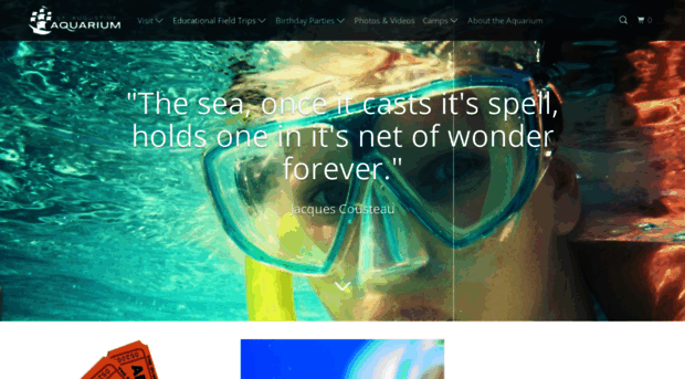 saaquarium.com