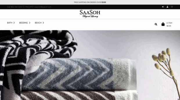 saasoh.com