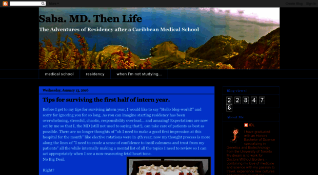 sabamdthenlife.blogspot.com