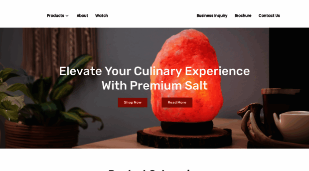 sabisalt.com