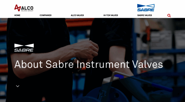 sabre-valves.com