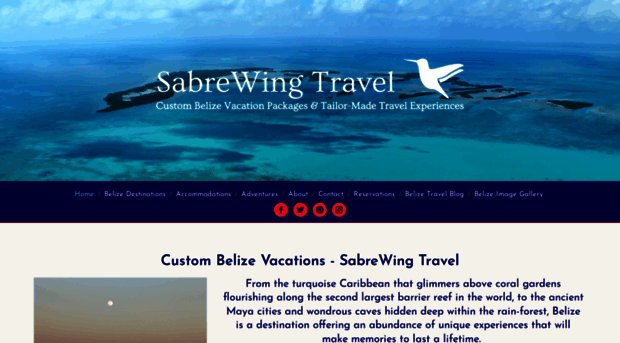 sabrewingtravel.com