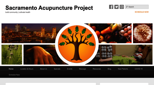 sacacupuncture.com