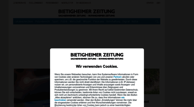 sachsenheimerzeitung.de