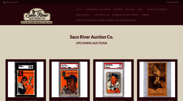 sacoriverauction.net