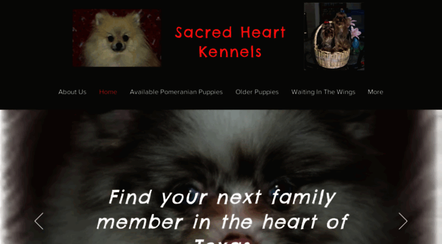 sacredheartkennels.com