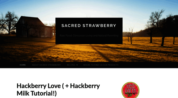 sacredstrawberry.wordpress.com