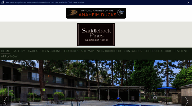 saddlebackpines.com