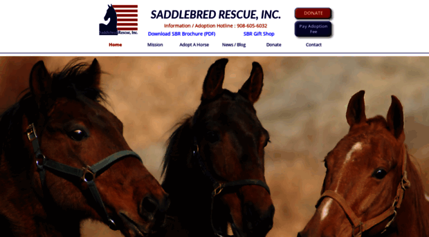 saddlebredrescue.com