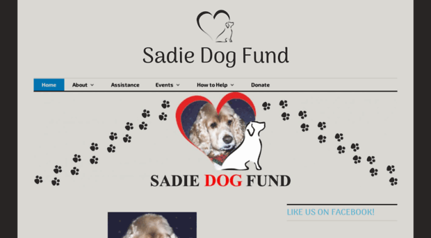 sadiedogfund.org