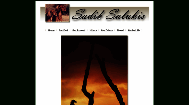 sadiksalukis.com