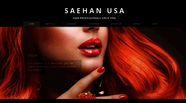 saehan-usa.com