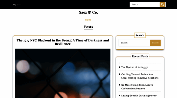 saezco.com