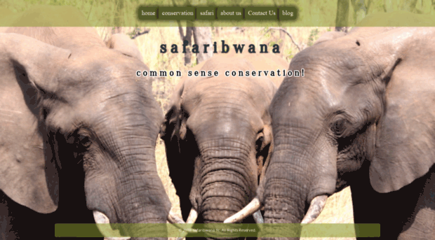 safaribwana.com