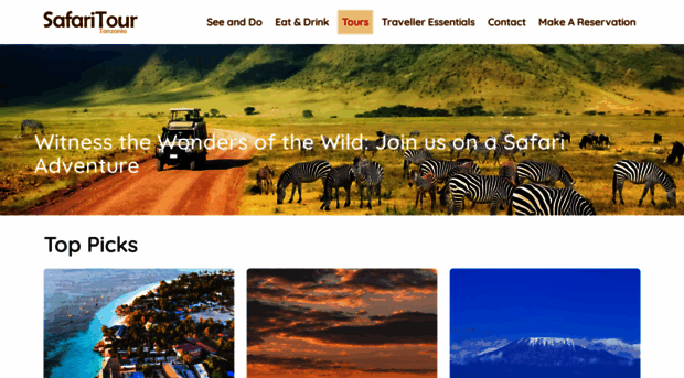 safaritourtanzania.com