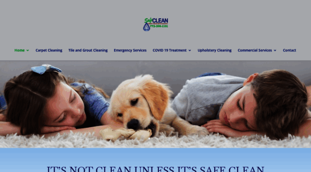 safecleanfl.com