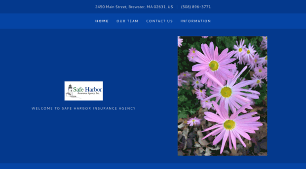 safeharborinsuranceagency.net