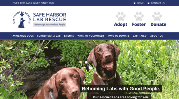 safeharborlabrescue.org