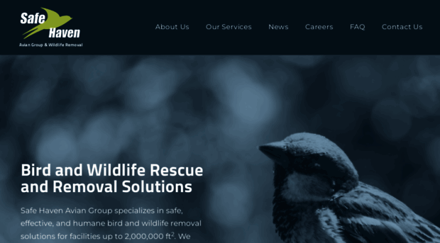 safehavenaviangroup.com