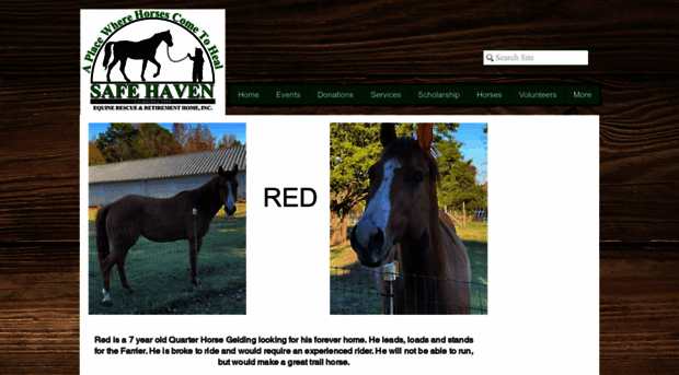 safehavenequinerescue.com