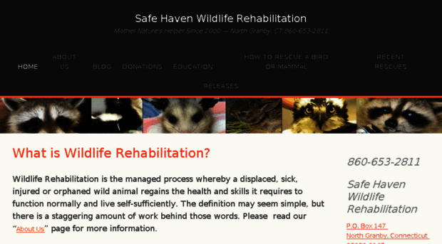 safehavenrehab.org